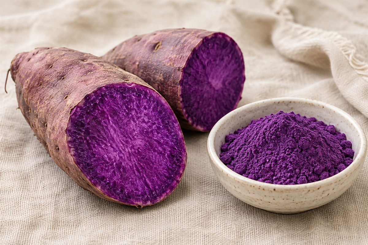 Igname violette ube coupee, chair violet intense, et bol de poudre d'ube
