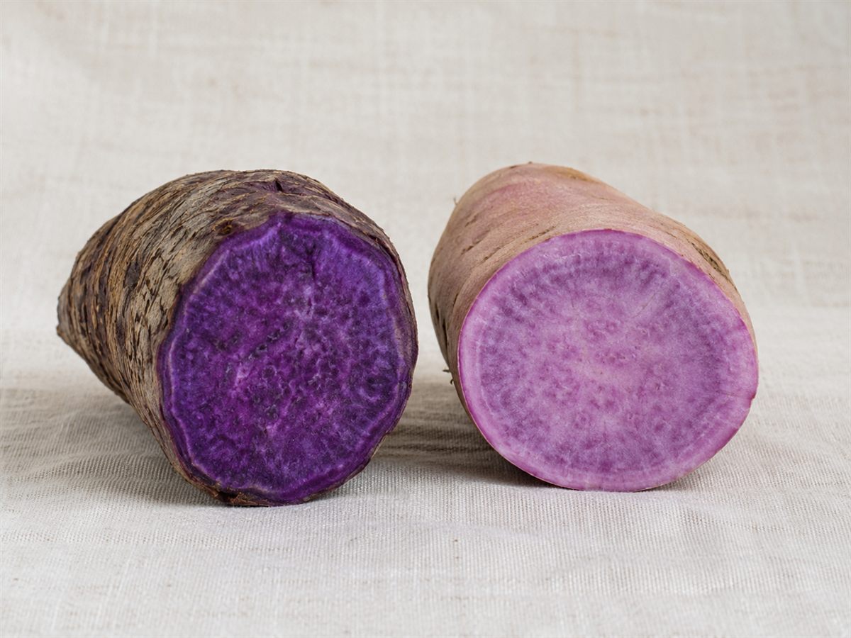 Comparaison ube et patate douce violette, deux tubercules coupés