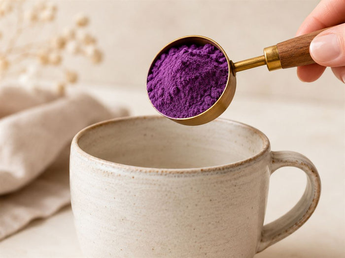 Cuillere de poudre d ube violette au-dessus d une tasse creme
