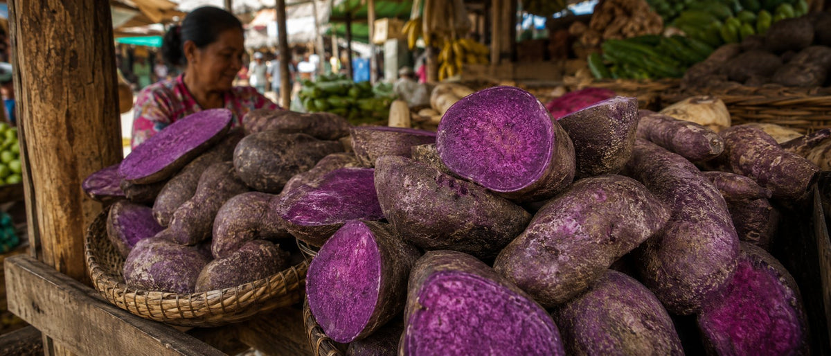Étal de marché philippin avec ignames ube, plusieurs coupées révélant leur chair violet magenta, vendeuse en arrière-plan
