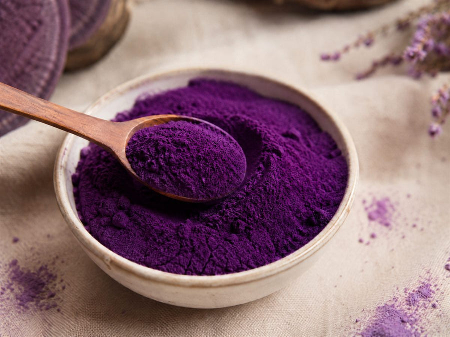 Poudre d'ube kinampay violet foncé des Philippines dans un bol avec une cuillère en bois