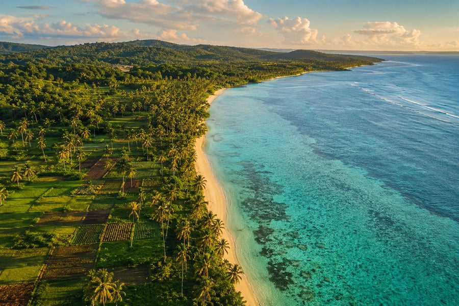 Côte de l'île de Bohol aux Philippines, berceau du kinampay, mer turquoise et cultures