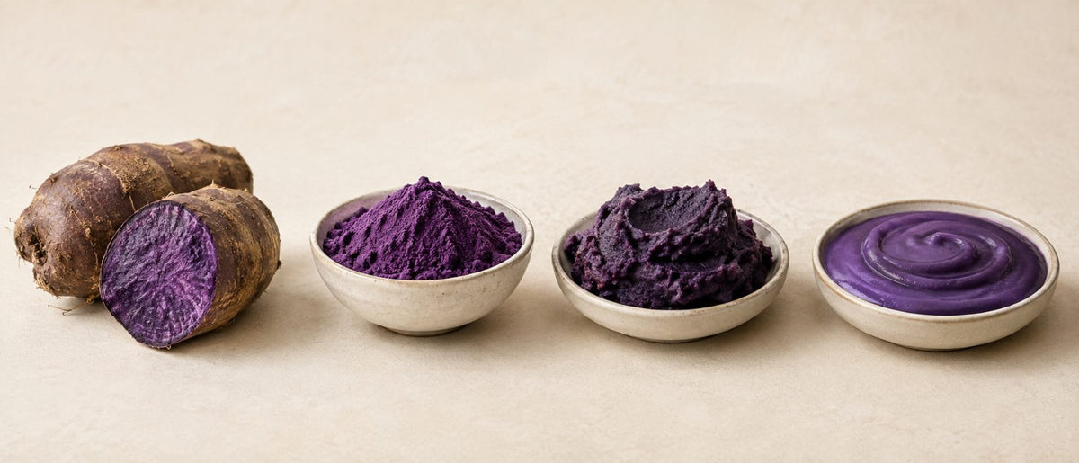 Quatre formes d'ube : tubercule frais, poudre violette, pâte et purée alignés