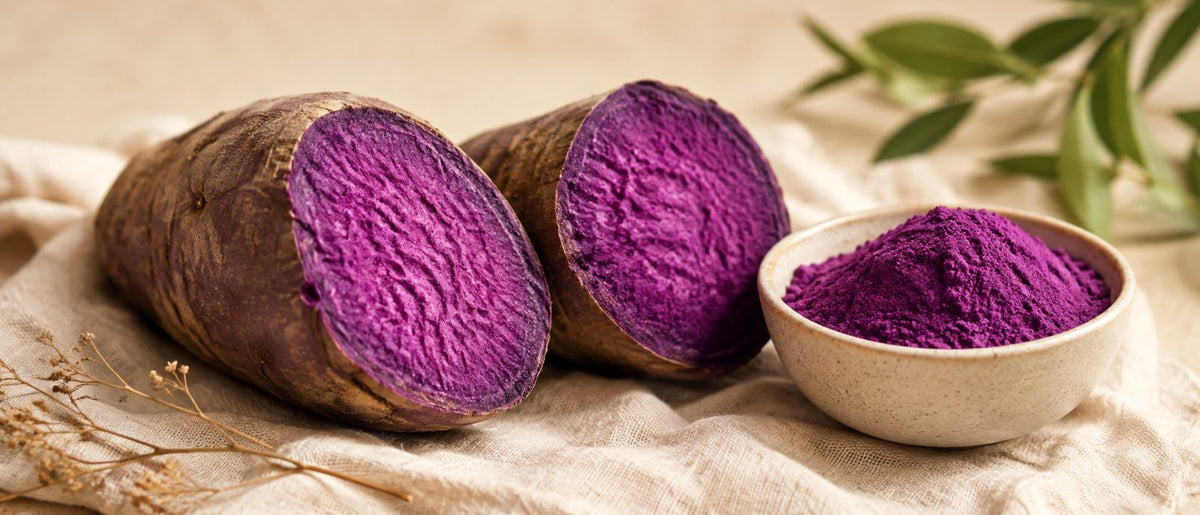 Tubercule d'ube coupé révélant sa chair violette intense à côté d'un bol de poudre d'ube