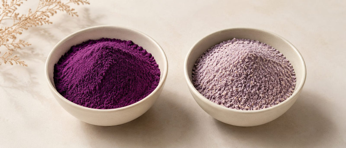 Comparaison : poudre d'ube pure violet magenta à gauche, préparation pour latte plus pâle à droite